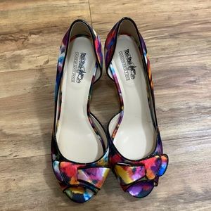 Coach and Four Multi color heals